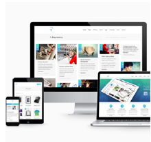 企業建站CMS網站開發